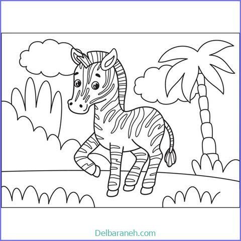  عکس گورخر نقاشی