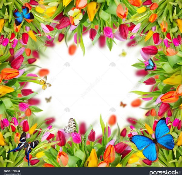 بک گراند ساده و شیک