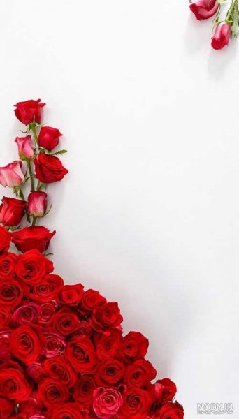 بک گراند ساده و شیک