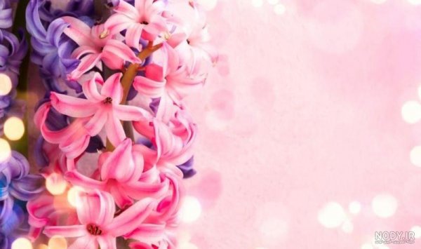 بک گراند ساده و شیک