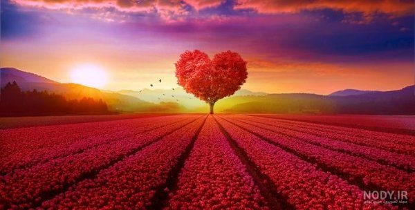 عکس قلب قرمز خوشگل کوچک