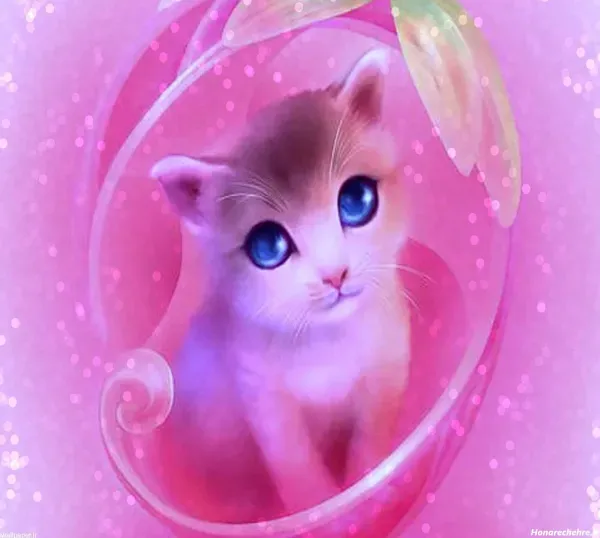 عکس گربه گوگولی