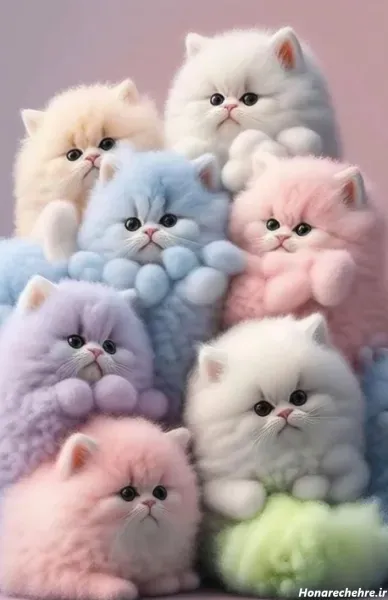 عکس گربه گوگولی