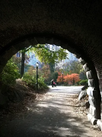  عکس آسمان شب کویر