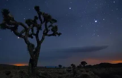  عکس پس زمینه از شب های کویر برای کامپیوتر