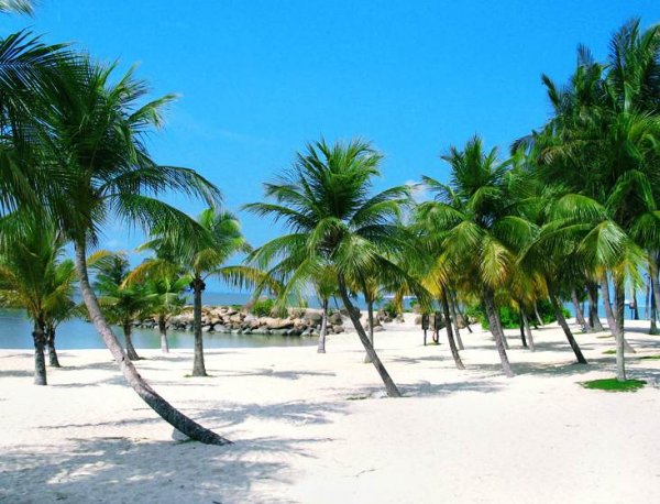  عکس کشور سنگاپور