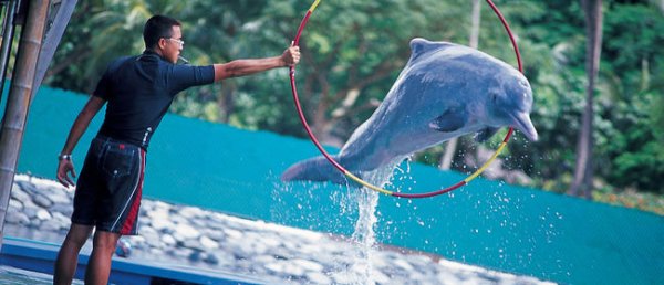  عکس کشور سنگاپور