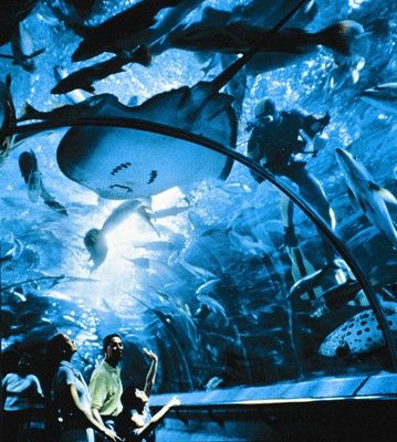  عکس کشور سنگاپور