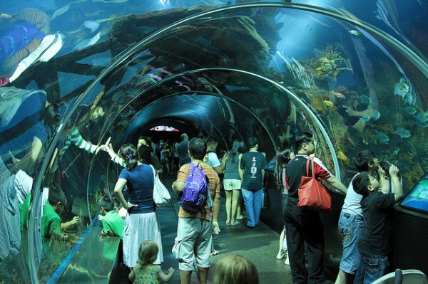  عکس کشور سنگاپور