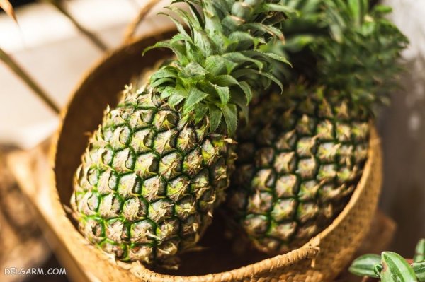  عکس آناناس برای والپیپر تابستونی