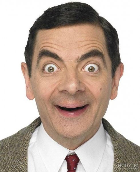  عکس های مستر بین