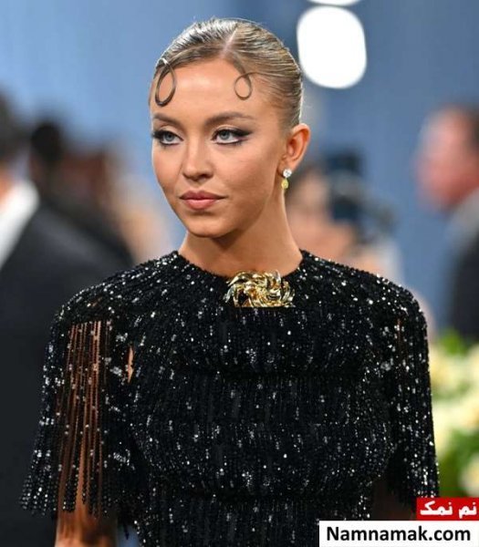  عکس سیدنی سوئینی و همسرش