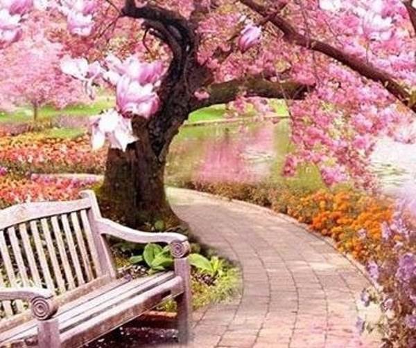 عکس منظره زیبا واقعی