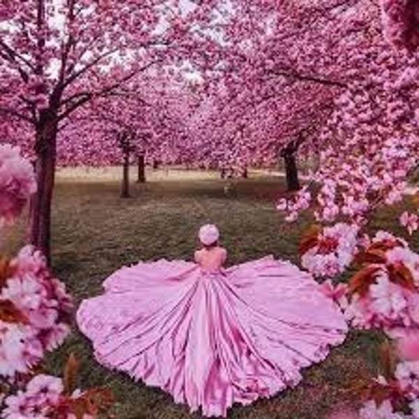 عکس منظره زیبا واقعی