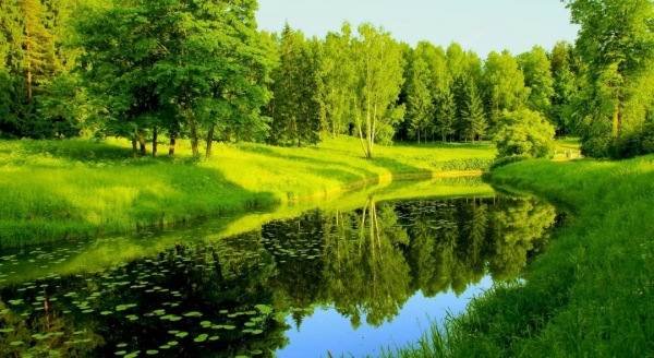  عکس پروفایل زیبا از طبیعت