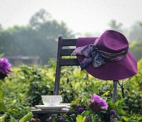  عکس پروفایل زیبا از طبیعت