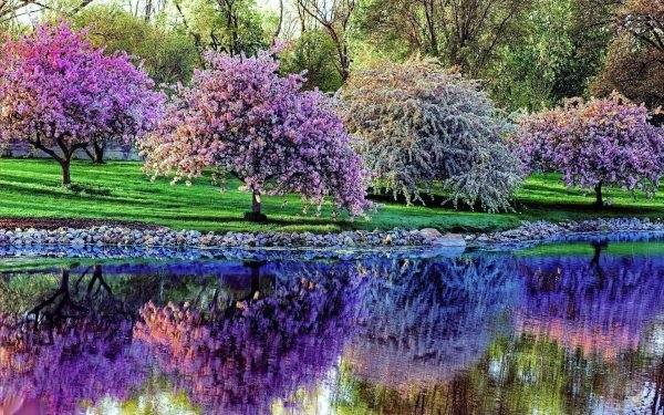 عکس منظره زیبا واقعی