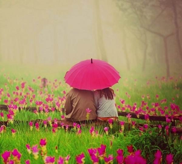 عکس منظره زیبا واقعی