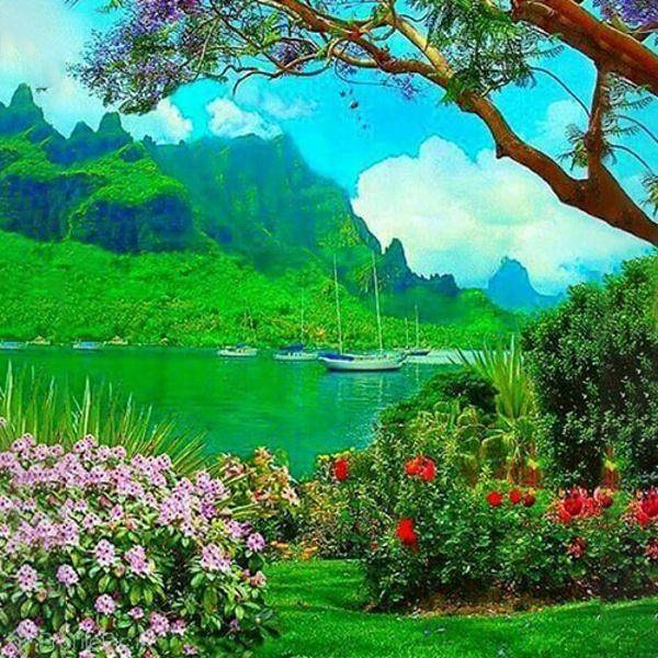 عکس منظره زیبا واقعی