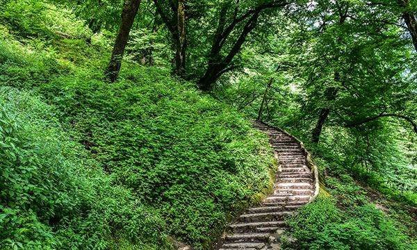 عکس منظره زیبا واقعی