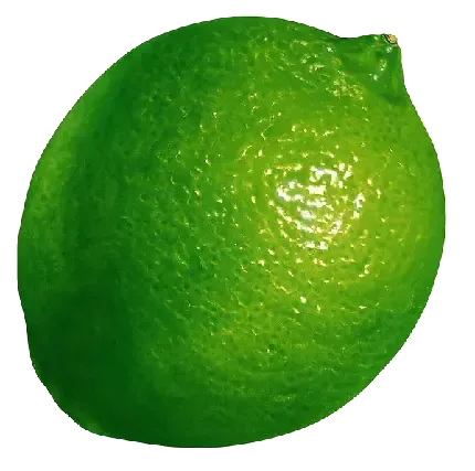  عکس لیمو برای پروفایل