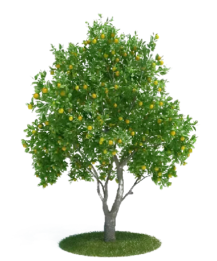  عکس لیمو برای پروفایل