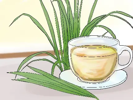  عکس لیمو کارتونی