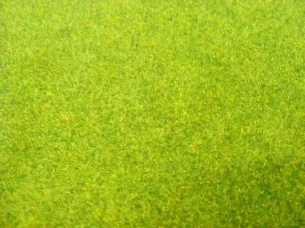  عکس سبز کم رنگ