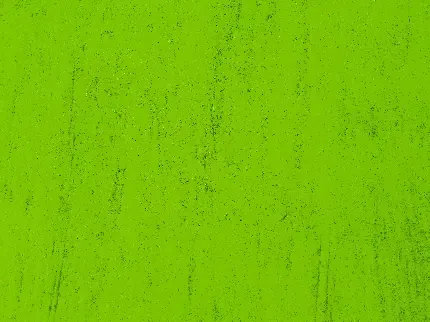  عکس سبز ماچا