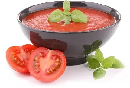  عکس بوته گوجه فرنگی کارتونی