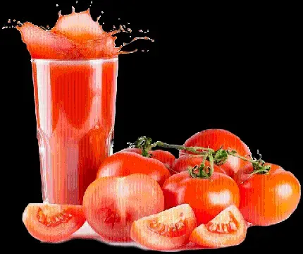  عکس بوته گوجه فرنگی کارتونی