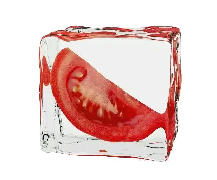  عکس بوته گوجه فرنگی کارتونی