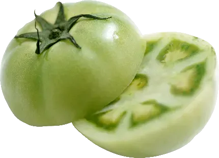  عکس بوته گوجه فرنگی کارتونی