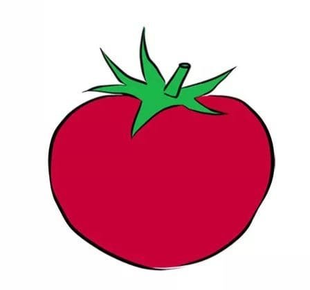  عکس گوجه فرنگی نقاشی