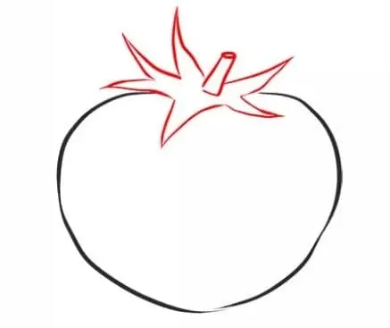  عکس گوجه فرنگی نقاشی