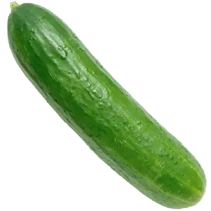  عکس خیار کارتونی