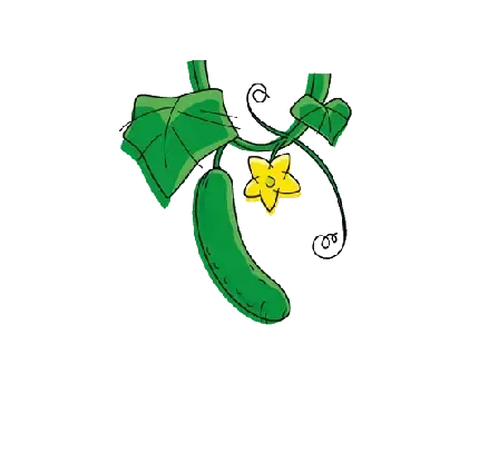  عکس خیار کارتونی