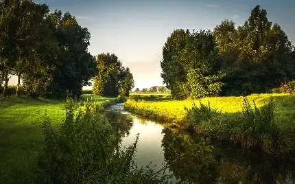  دانلود عکس درختان سرسبز در کنار رودخانه