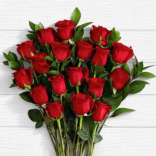  عکس دسته گل رز قرمز برای پروفایل