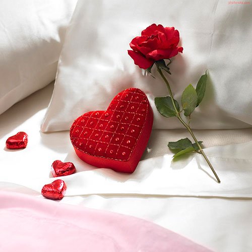  عکس دسته گل رز قرمز برای پروفایل