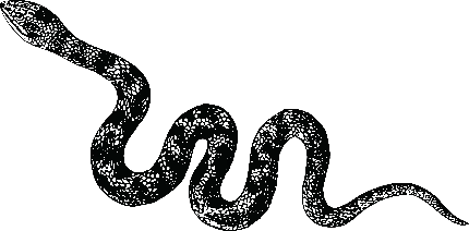  طرح تاتو مردانه خفن و گنگ