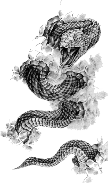  طرح تاتو مردانه خفن و گنگ