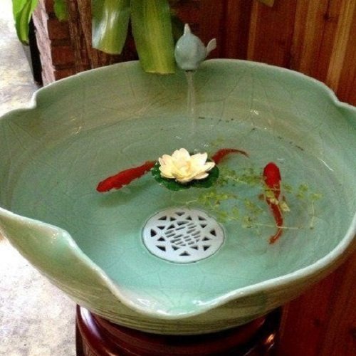  عکس ماهی قرمز داخل تنگ