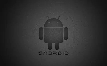  عکس پس زمینه برای تبلت با کیفیت بالا