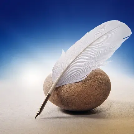 عکس پس زمینه تبلت سامسونگ دخترانه