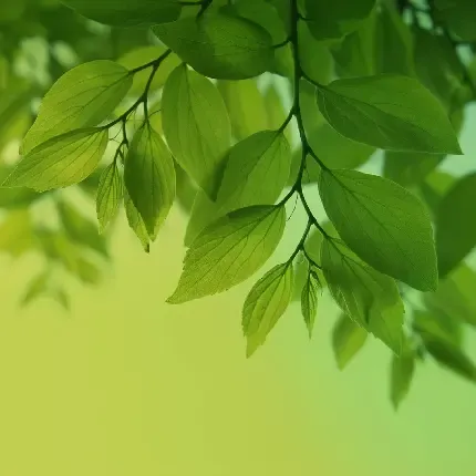 عکس پس زمینه تبلت سامسونگ دخترانه