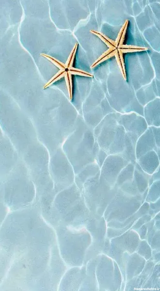 عکس پروفایل آبی ساده