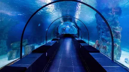  عکس از استانبول برای استوری