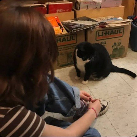 عکس تینیجری دارک