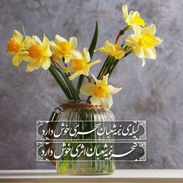  عکس پروفایل نیمه شعبان جدید